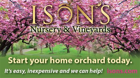 Ison's nursery - exclusive offers from Ison's Nursery & Vineyard. Call Us (800) 733-0324 6855 Newnan Road, PO Box 190 Brooks, GA 30205-2424 Products. Muscadines; Bunch Grapes Vines; 